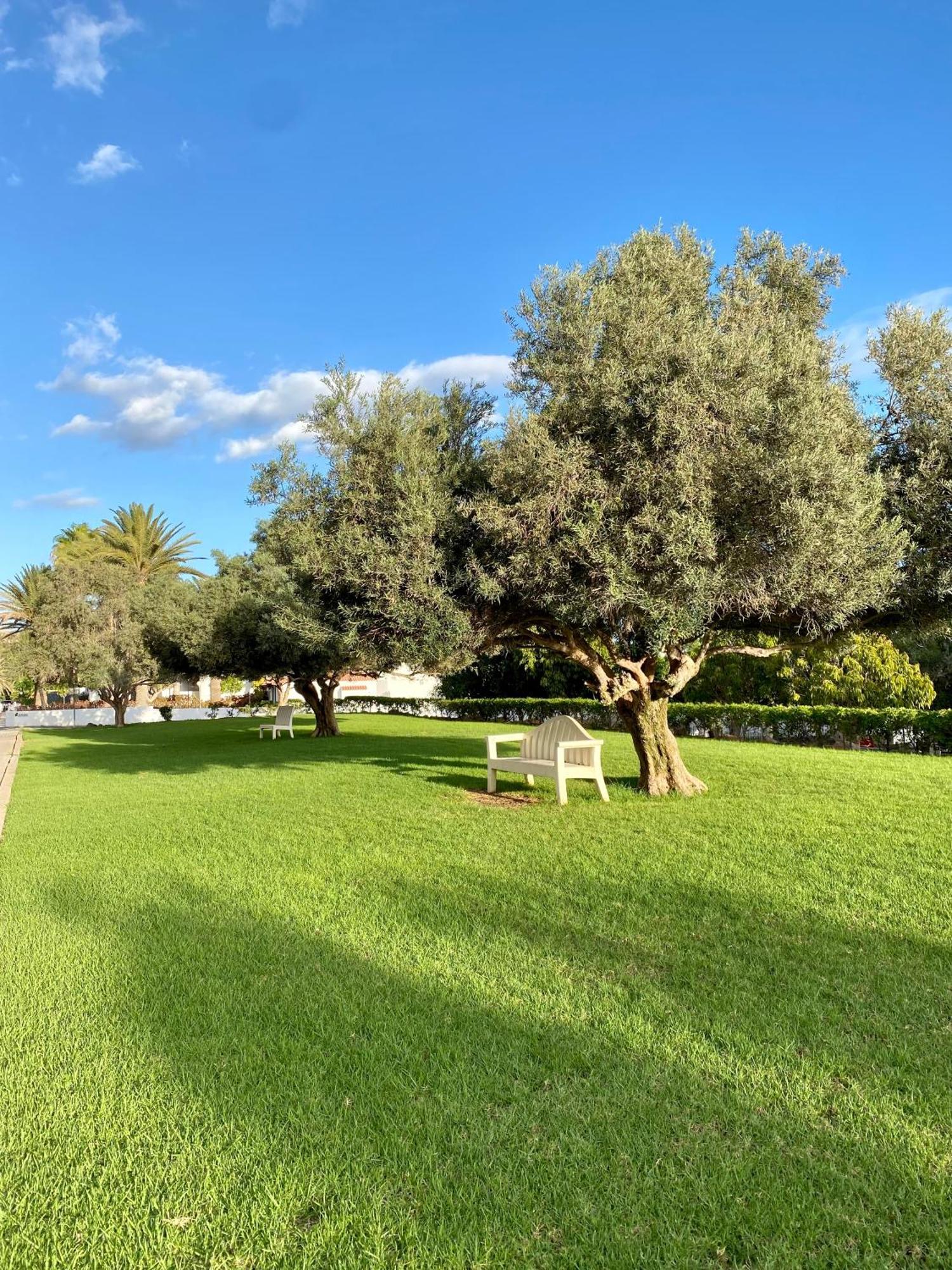 Casa Con Terraza Y Piscina En Pasito Blanco, Cerca De Maspalomas Εξωτερικό φωτογραφία